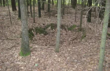 Badania geofizyczne ujawniają ślady dawnego hutnictwa w Lasach Starachowickich