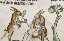 Średniowieczne mordercze króliki...tak przy okazji świąt Wielkiej Nocy