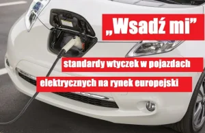 „Wsadź mi” – standardy wtyczek w pojazdach elektrycznych na rynek...