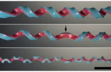 Naukowcy z Harvarda odkryli nowy kształt
