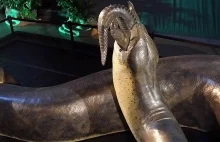 Titanoboa - największy wąż świata