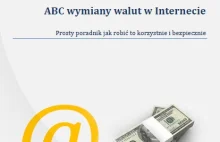 Polska światową potęgą w internetowej wymianie walut. Zazdroszczą wielcy gracze
