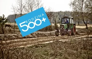 Rolnicy narzekają: "Przez 500+ nie mamy pracowników!"