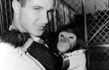 51 rocznica lotu szympansa Enos. Historia zapomnianego bohatera.