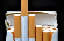 Od 2019 nie kupisz w Polsce papierosów! Rząd musi się spieszyć