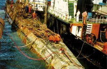 Wydobywanie łodzi podwodnej U-534