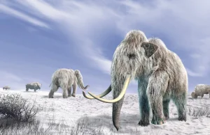 Połączenie obu Ameryk doprowadziło do epoki lodowcowej 2,6 mln lat temu