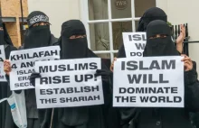 Zamachy w Paryżu - efekt multikulti ?
