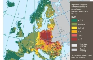 Będzie kolejny pozew przeciwko Polsce ws. smogu. Szykują go organizacje ekolog.