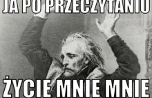 "Życie mnie mnie!": Testy gimnazjalne z języka polskiego hitem internetu