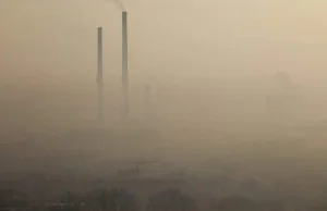 Kraków jeszcze nie zaczął Wigilii. 700 tys. mieszkańców nadal wypatruje...