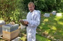 This Guy Figured Out How to Train Bees to Make Honey From Weed