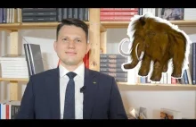 Sławomir Mentzen dla NamZależy: Korwin jest wielkim, wściekłym mamutem
