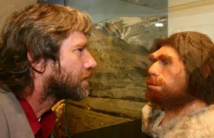 Hodują mózg neandertalczyka. Stworzyli go z ludzkich neuronów