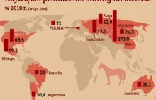 Najwięksi producenci koniny na świecie