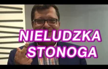 NIELUDZKA STONOGA