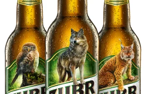 Kompania Piwowarska zmieni etykiety piwa Żubr, żeby wspierać zagrożone gatunki