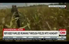 Wyłapywanie imigrantów w polu kukurydzy [ENG]