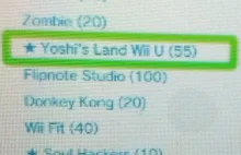 WII U online złamane przypadkowo w dniu premiery