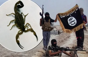 ISIS wskrzesił broń z czasów Imperium Rzymskiego - "bomby skorpionowe" [eng]