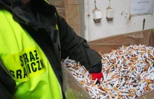 Straż graniczna znalazła tony papierosów i 33 mln. złotych w gotówce!