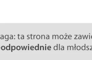 Polski as pancerny września 1939 r. - Roman Orlik