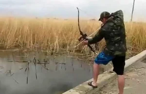 Łowienie ryb - poziom ekspert