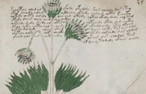 Brytyjski naukowiec rozszyfrował tajemnicę Manuskryptu Voynicha?
