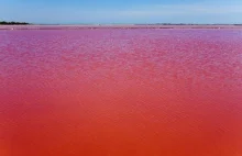 Jezioro we Francji zmieniło kolor wody na krwistoczerwony
