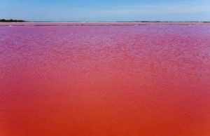 Jezioro we Francji zmieniło kolor wody na krwistoczerwony