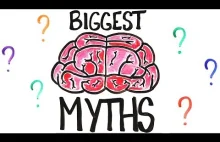 7 mitów na temat mózgu.