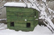 Pozytywnie! Gdańsk stawia domki na zimę dla kotów