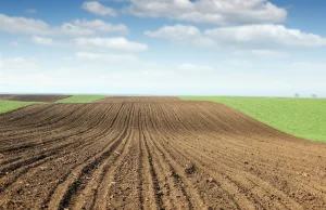 ”Błędne koło” emisji węgla z gleby przyspieszy globalne ocieplenie