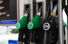 Testy: Biopaliwo znacznie obniża wydajność samochodów