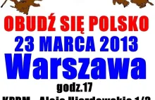 Wiosna Ludów: protesty w Polsce w marcu 2013 roku