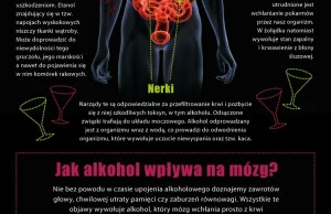 Co alkohol robi z Twoim organizmem?