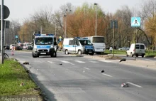 Klasyka gatunku: Pędził 110 km/h, zabił na pasach. Wyrok w zawieszeniu.