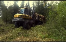 Zrywka drewna "Wpadka" Ponsse Elephant stuck in mud