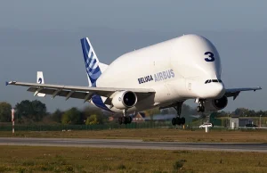 Airbus A300-600ST Beluga - jego lądowanie zawsze budzi sensację