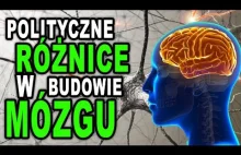 Polityczne różnice w budowie mózgu - Kamil Cebulski