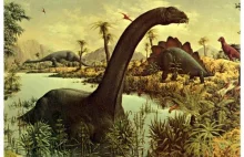 10 mitów o dinozaurach, które powinny w końcu wymrzeć
