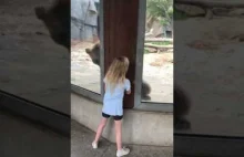 Dziewczynka bawi się w chowanego z niedzwiedziem