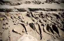 Ziemia odsłoniła makabryczne szkielety zastygłe w śmiertelnym krzyku (FOTO