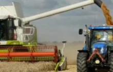 Inspektorzy zbadali gospodarstwa pod kątem obecności kukurydzy GMO