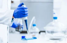 Naukowcy z Polski rozpracowali ważne białko wirusa Zika