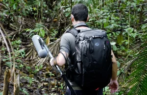 Nagrania terenowe czyli field recording