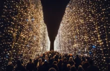 Niesamowite iluminacje świąteczne w Gdańsku