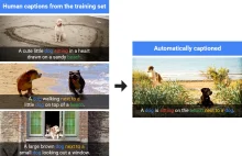 Sztuczna inteligencja Google opisuje zdjęcia z niezwykłą dokładnością