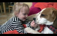 Beagle to perfekcyjne psy rodzinne