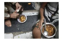 Republika głodu: w Indiach 900 mln ludzi jest niedożywionych